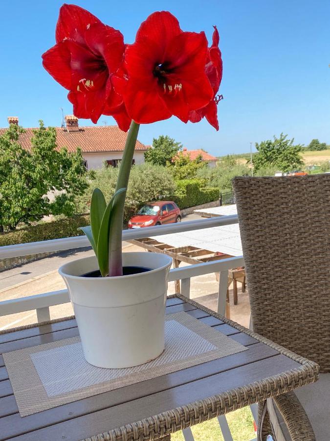 Apartments Roberta Novigrad Istria Eksteriør bilde