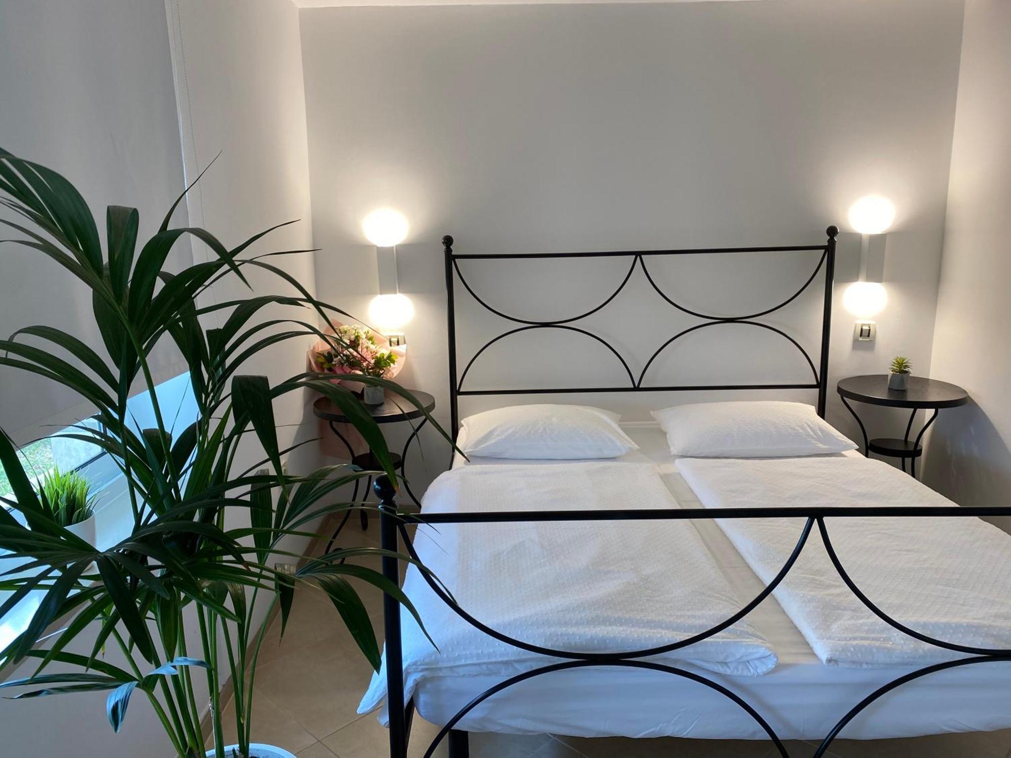 Apartments Roberta Novigrad Istria Eksteriør bilde