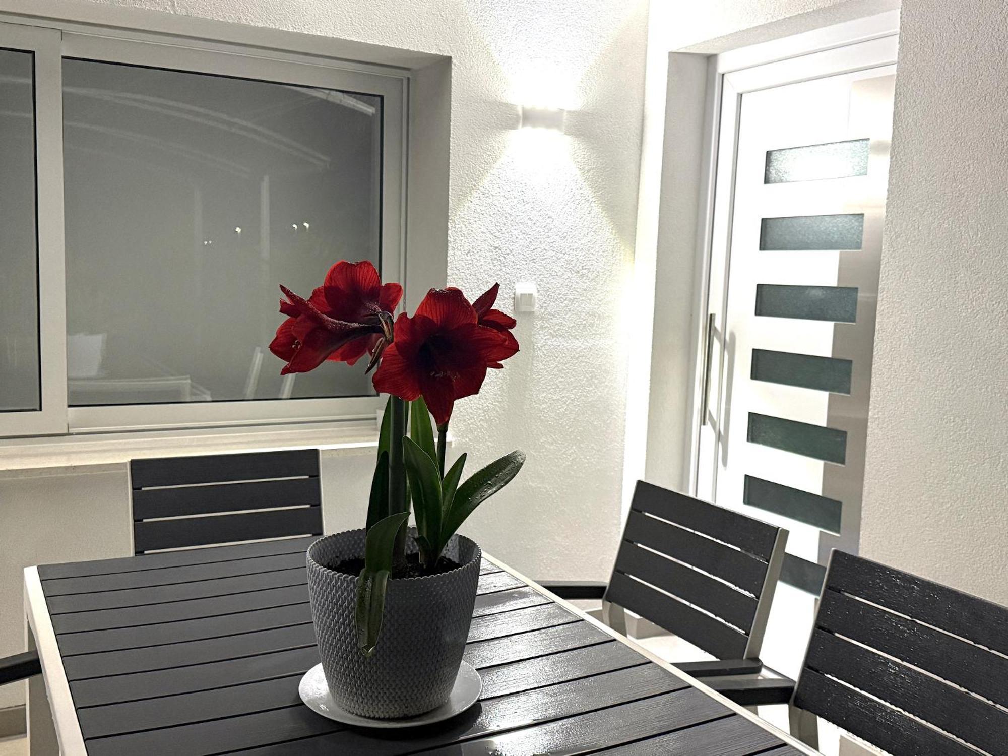 Apartments Roberta Novigrad Istria Eksteriør bilde