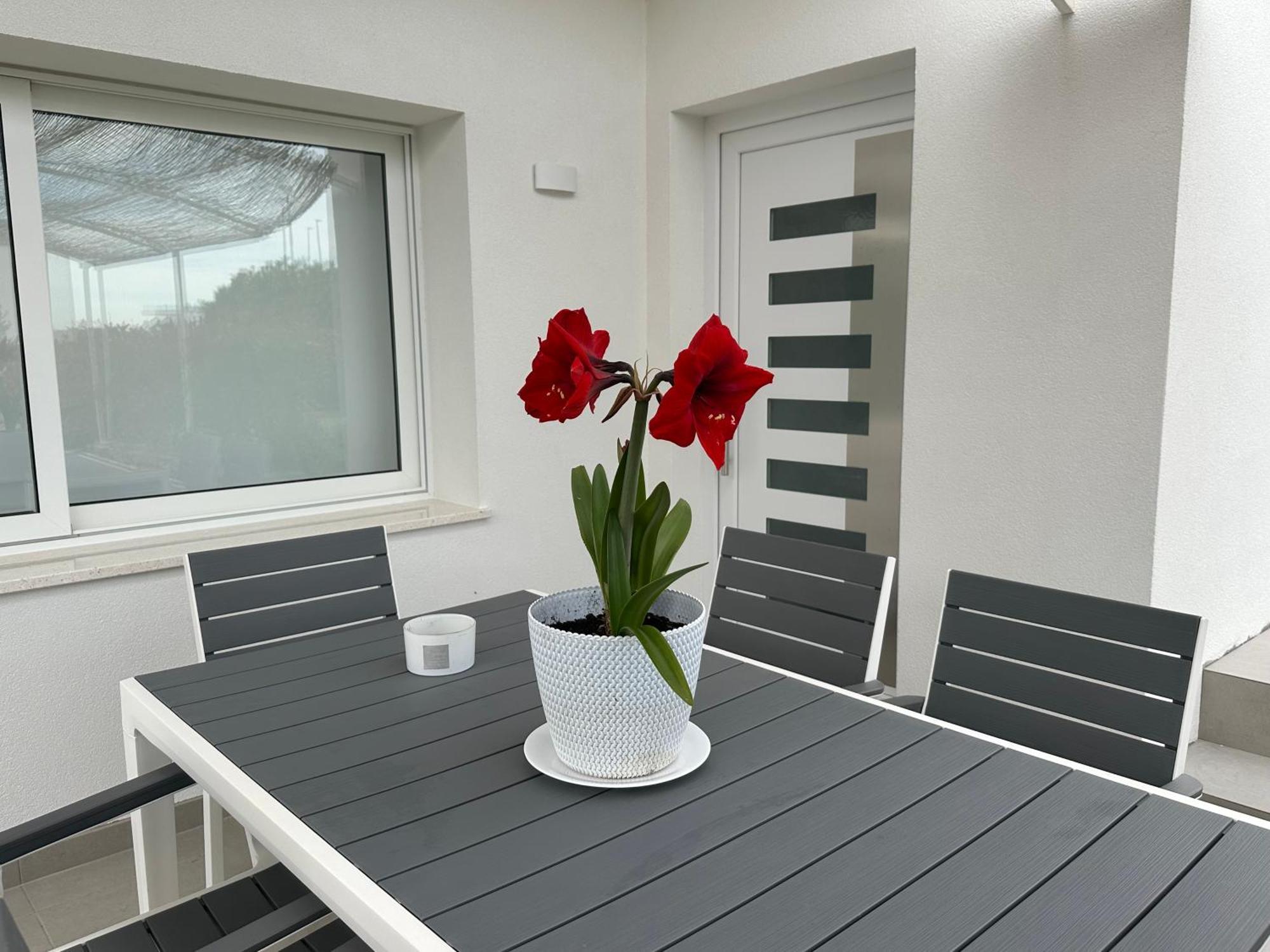 Apartments Roberta Novigrad Istria Eksteriør bilde