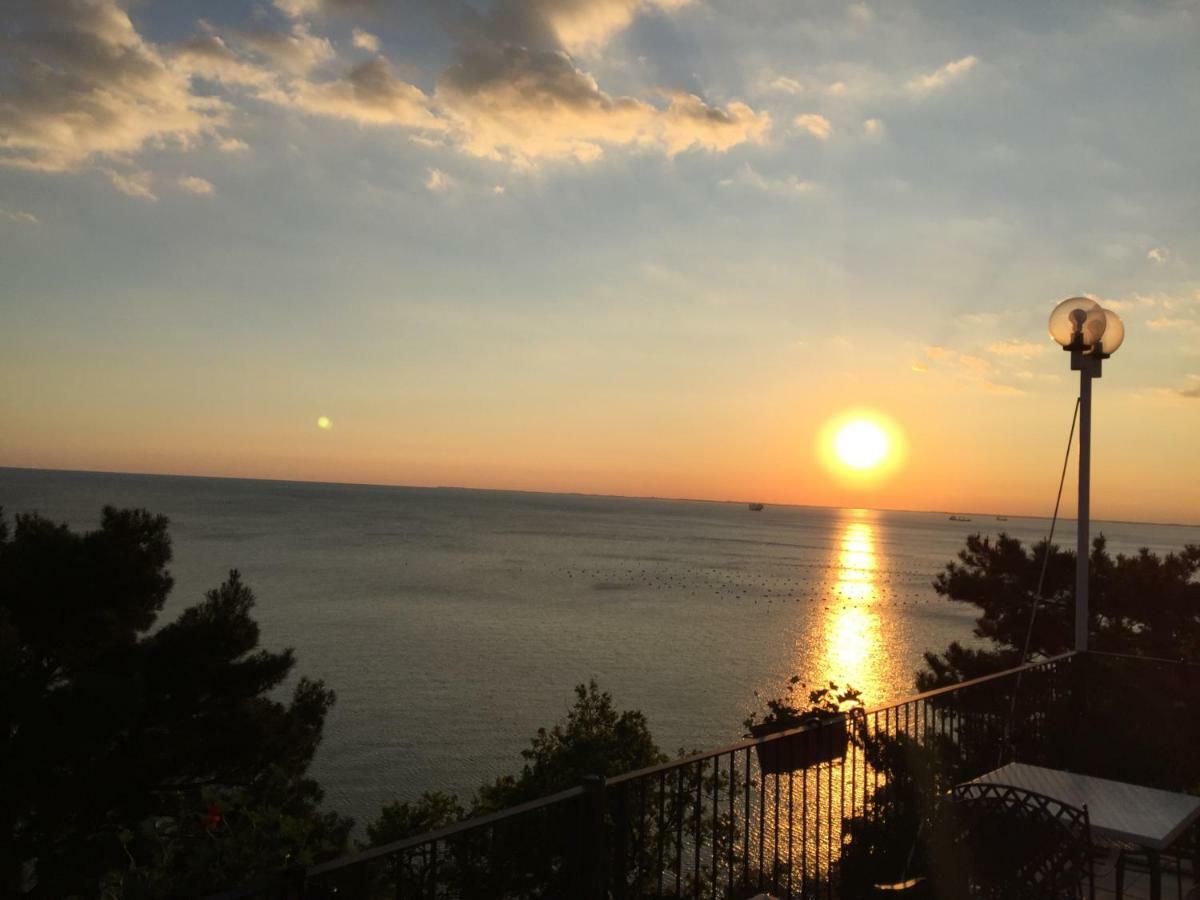 Apartments Roberta Novigrad Istria Eksteriør bilde